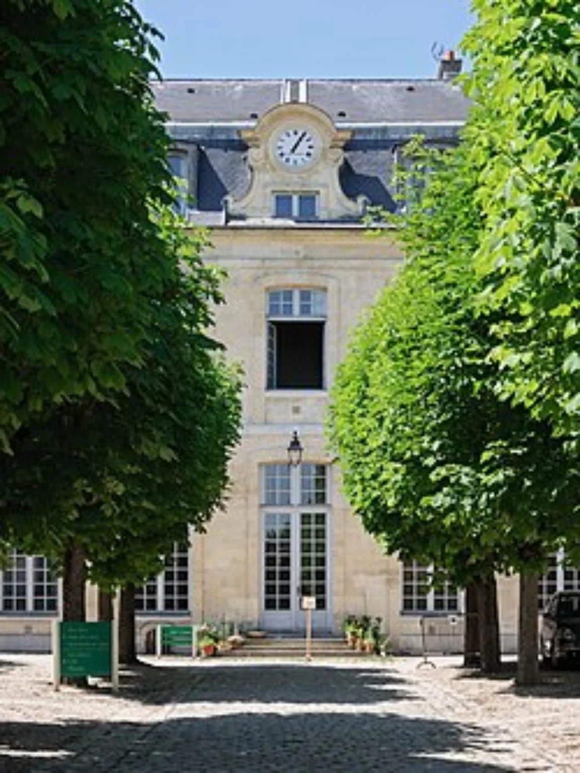 Allée arborée du lycée Michelet à Vanves