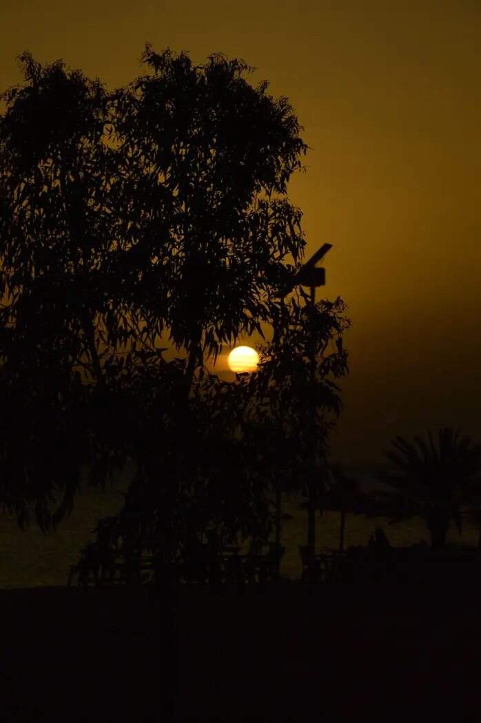 Souvenir du séjour de Lina à Djerba